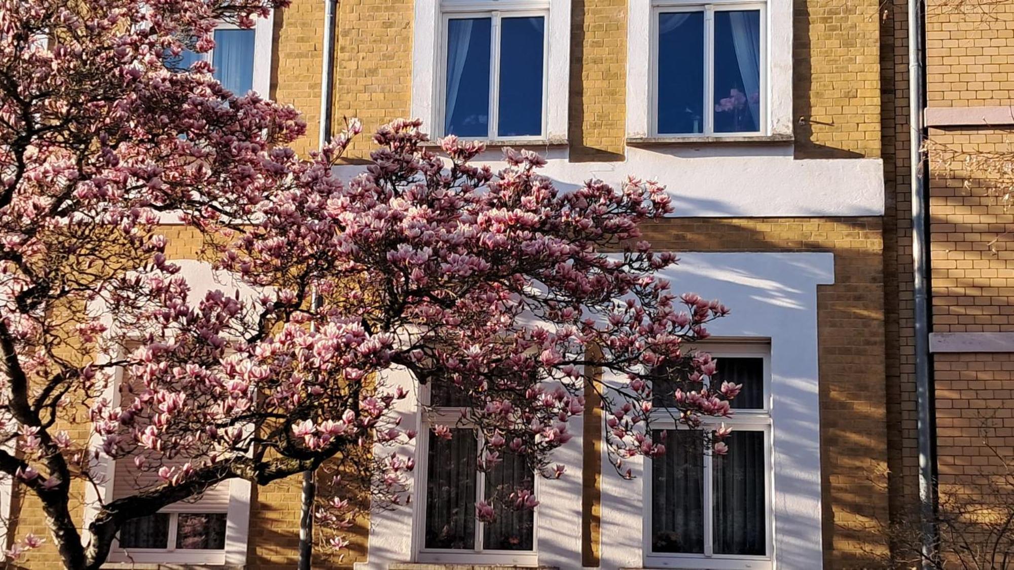 Ferienwohnung Rosi Наумбург Экстерьер фото